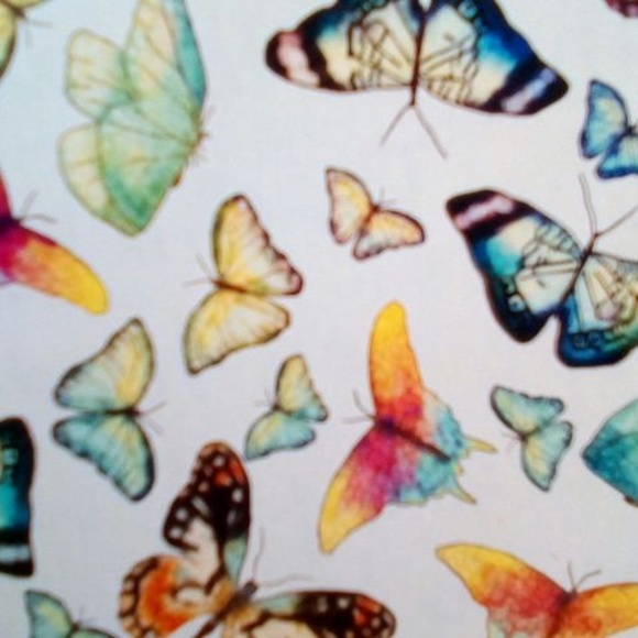 Meet your Posher, Pamela - Picture 1 of 1